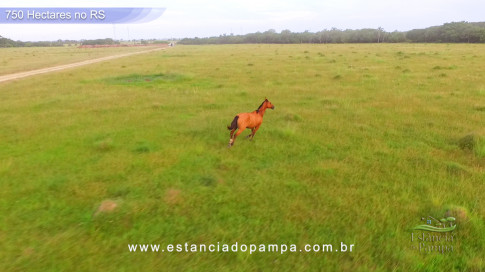 Os Tiranos - Bailando o chamamé [VDownloader].00_02_26_16.Quadro005_d7c668bc6d3c7e1945945cb72ded9b539018af29.jpg